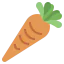 Carrot 图标 64x64