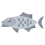 Fish 图标 64x64