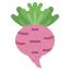 Turnip 图标 64x64