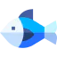 Fish 图标 64x64