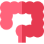 Intestine icon 64x64