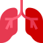 Lungs icon 64x64