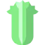 Celery icon 64x64
