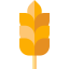 Wheat icon 64x64