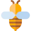 Bee icon 64x64