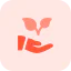 Leaves 图标 64x64