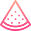 Watermelon icon 64x64