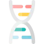 Dna icône 64x64