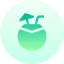 Coconut drink icon 64x64