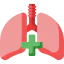 Lungs アイコン 64x64