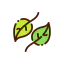 Leaves icon 64x64