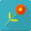 Flower icon 64x64