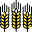 Wheat icon 64x64