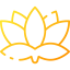 Lotus flower icon 64x64