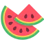 Watermelon icon 64x64