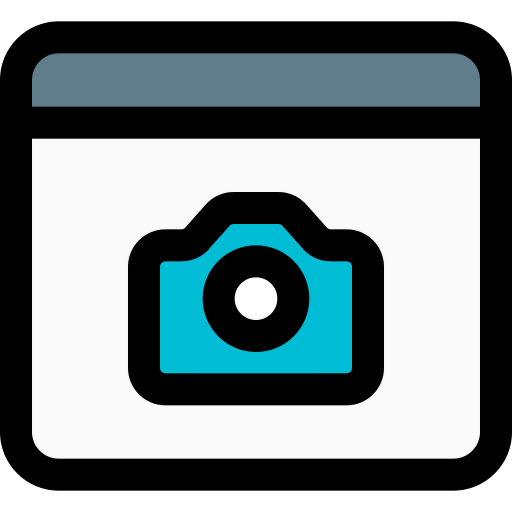 Web browser icon