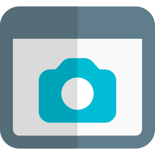 Web browser Ikona