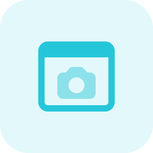 Web browser icon