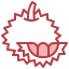 Durian icon 64x64