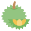 Durian icon 64x64