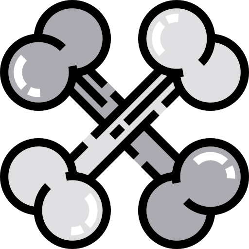 Bones icon