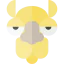 Camel 상 64x64