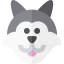 Wolf 상 64x64