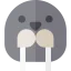 Walrus 상 64x64