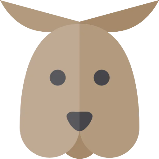Kangaroo Symbol