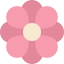 Flower icon 64x64