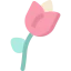 Tulip icon 64x64