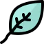 Leaf icon 64x64