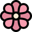 Flower icon 64x64