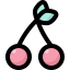 Cherry icon 64x64