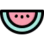 Watermelon icon 64x64