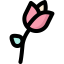 Tulip icon 64x64