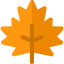 Maple leaf アイコン 64x64