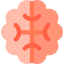 Brain アイコン 64x64