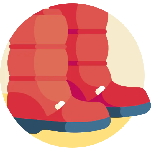 Boots icon