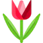 Tulip icon 64x64