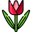 Tulip icon 64x64