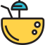Coconut icon 64x64