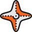 Starfish icon 64x64