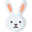 Rabbit icon 64x64