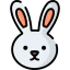 Rabbit icon 64x64