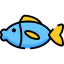 Fish icon 64x64