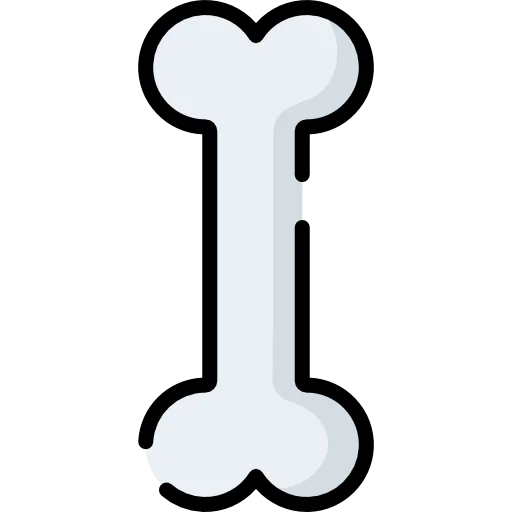 Bone icon