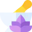 Herbal treatment icon 64x64