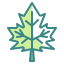 Maple leaf icon 64x64