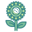 Sunflower icon 64x64